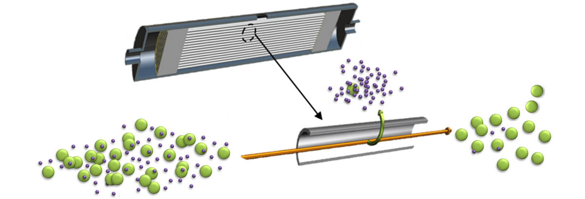 Permalink to: Membranes