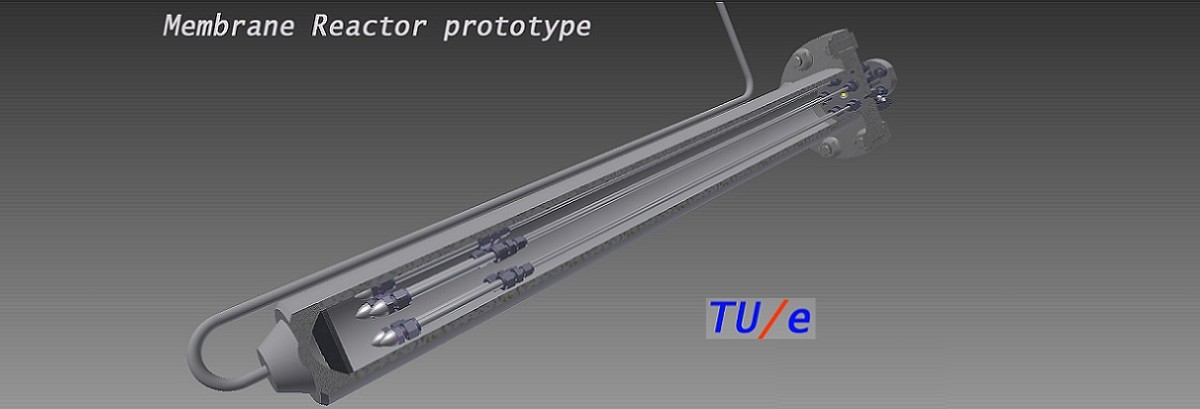 Permalink to: Fixed/Fluidized bed reactor