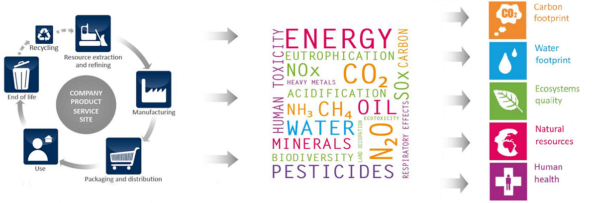 Permalink to: Life Cycle Assessment